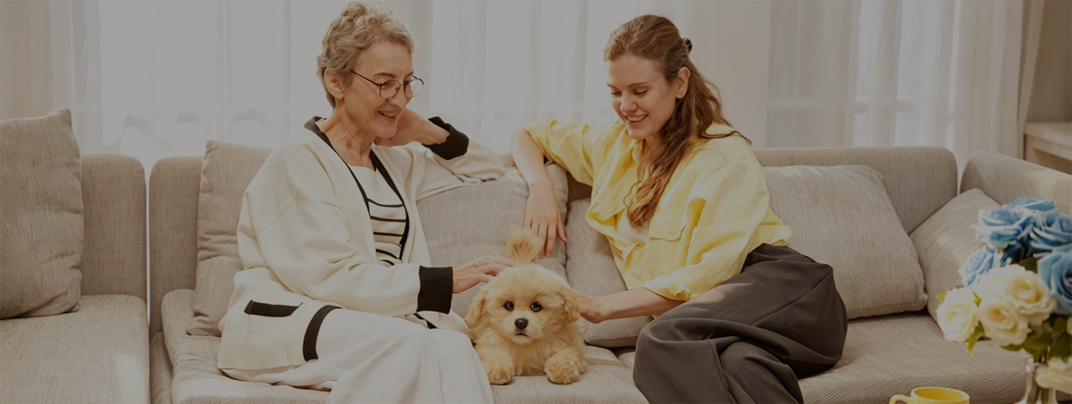 Using technology with warmth
to dissolve the loneliness of living alone