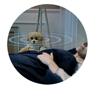 Contactless Sleep 
Monitoring