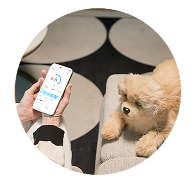 Personalized 
Wellness Guidance
