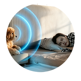Contactless Sleep 
Monitoring